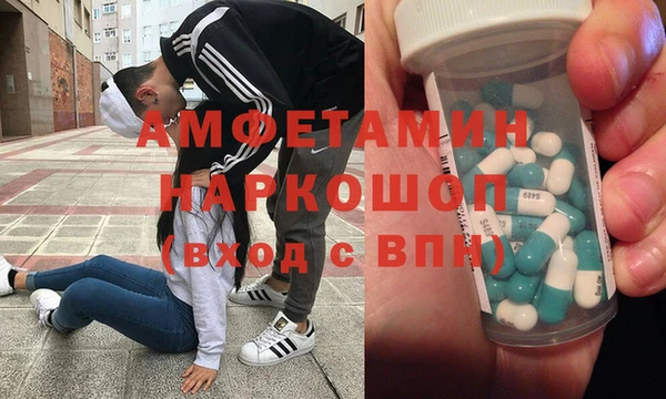 гидропоника Горняк