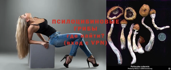MDMA Premium VHQ Горнозаводск