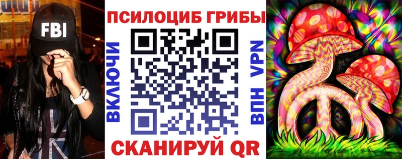 Галлюциногенные грибы Psilocybe  Купить закладки  Ленинск 